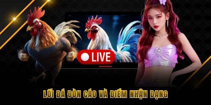 Lối đá đòn cáo và điểm nhận dạng